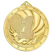 Медаль MZ 31-70 