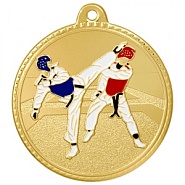 Медаль MZ 187-50 Тхэквондо