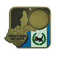 Медаль NC11