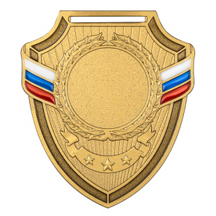 Медаль MZP 557-65