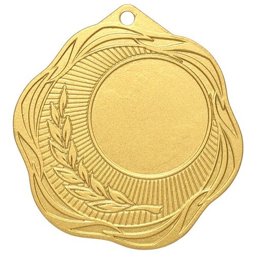 Медаль MZP 508-50